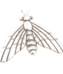 Silver Flying Friend