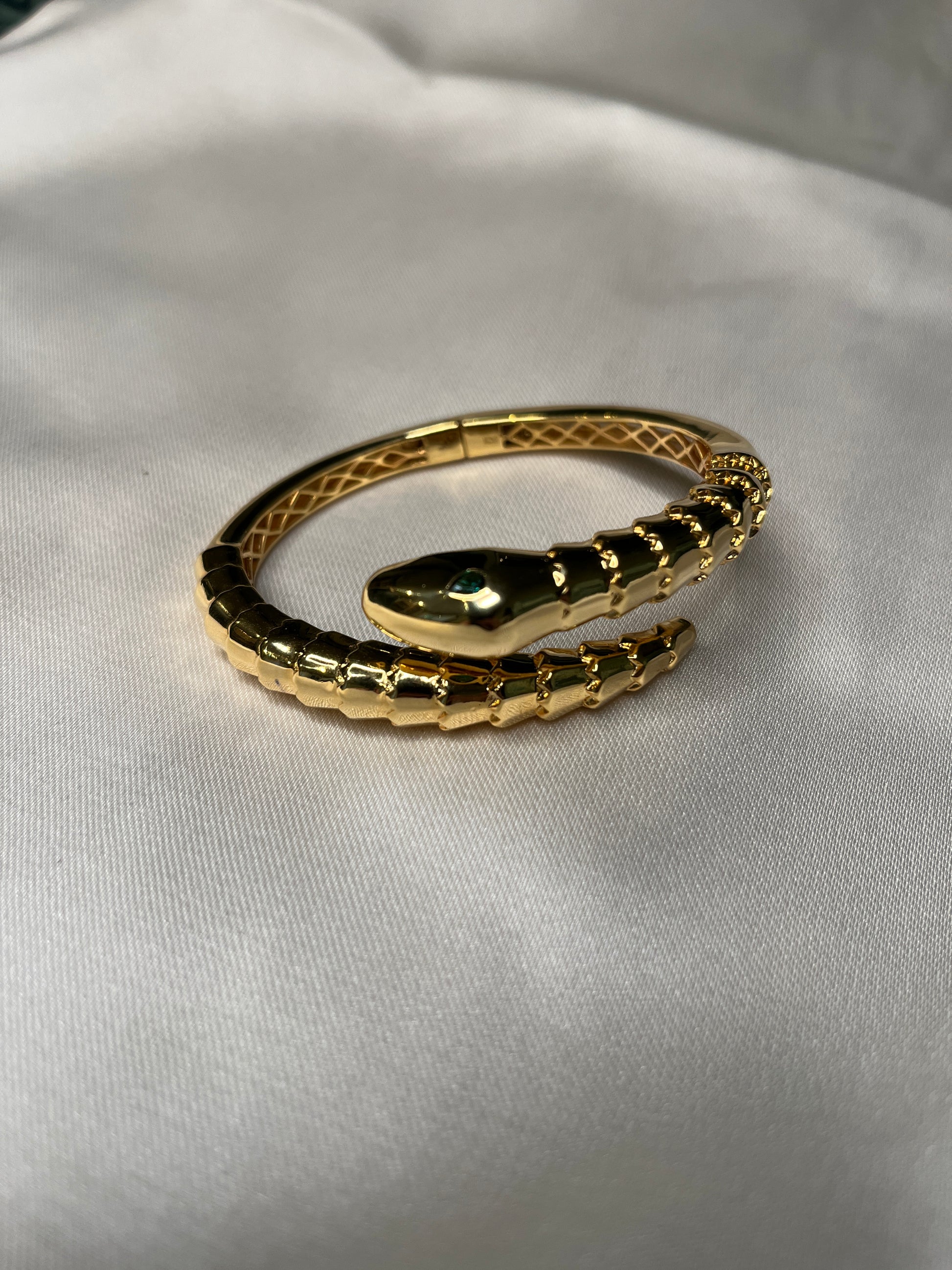 Mama Snake