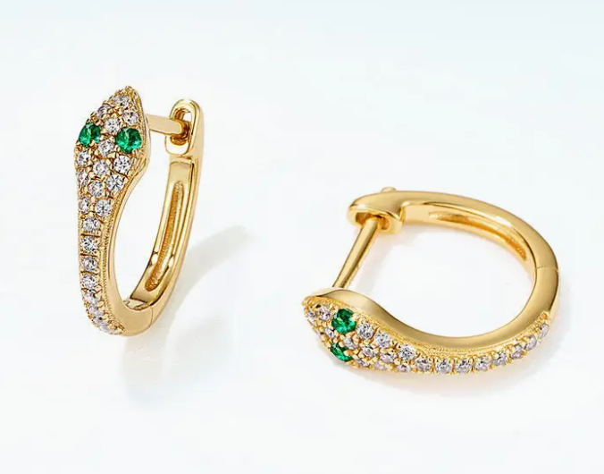 Earrings