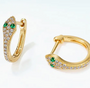 Snake Hoops