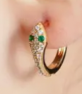 Snake Hoops